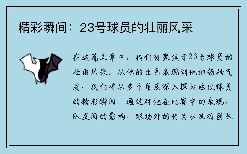 精彩瞬间：23号球员的壮丽风采
