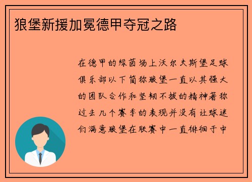 狼堡新援加冕德甲夺冠之路